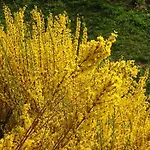 Eselgut Puehringer Alloggio per agriturismo *