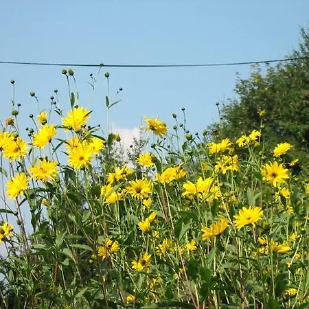 Eselgut Farm stay Hofkirchen im Muehlkreis