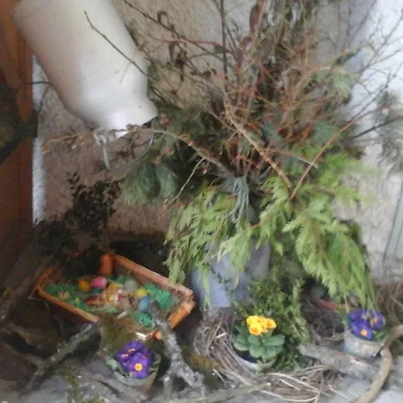 Eselgut * Hofkirchen im Muehlkreis