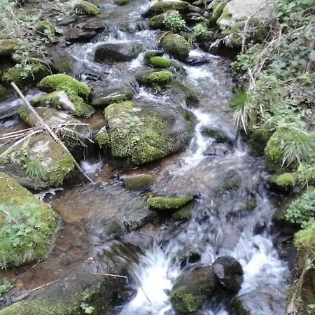 Farm stay Eselgut