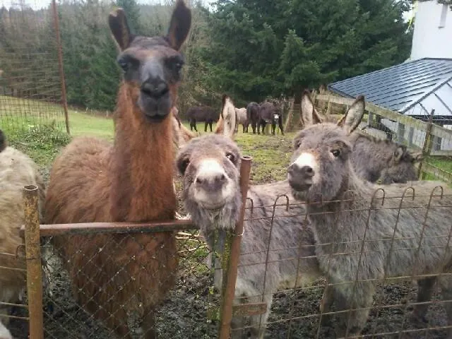 Eselgut Puehringer 霍夫克什伊姆蒙克