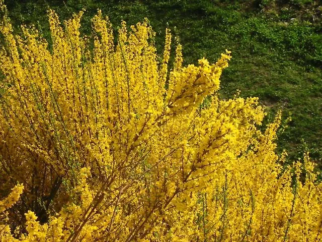 Eselgut Puehringer Farma *