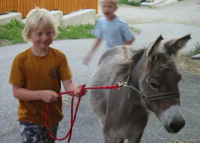 Eselgut Puehringer 农家乐