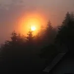 Eselgut Puehringer *