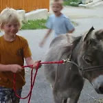 Eselgut Puehringer Agroturismo