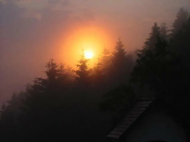 Eselgut Puehringer *